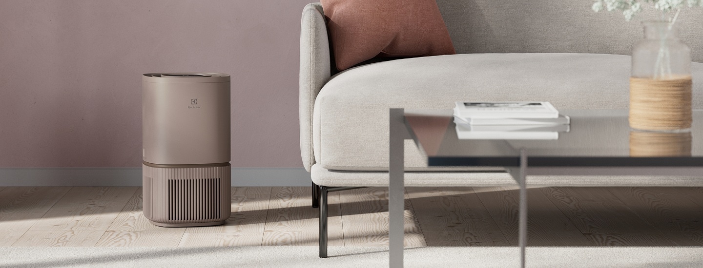 purificateur d'air Pure 500